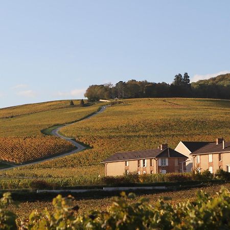 Maison Et Jardin A Epernay Centre Ville 外观 照片