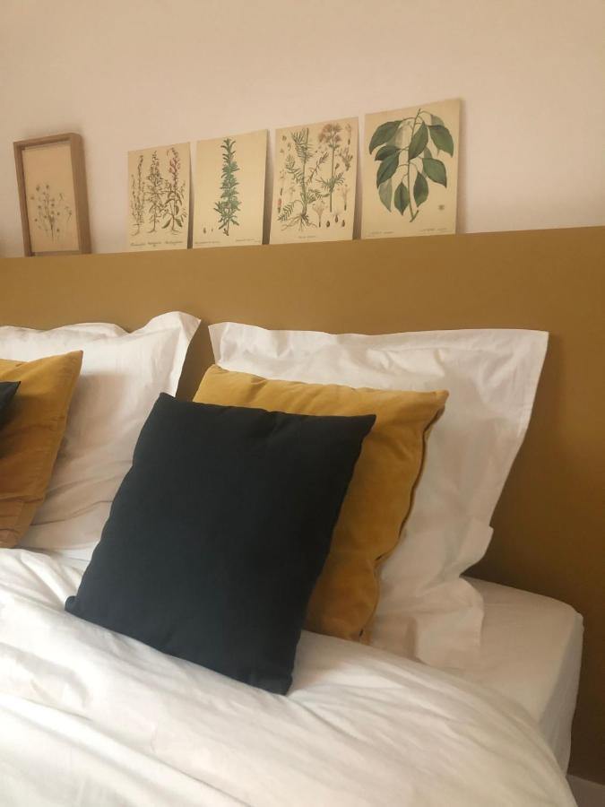 Maison Et Jardin A Epernay Centre Ville 外观 照片