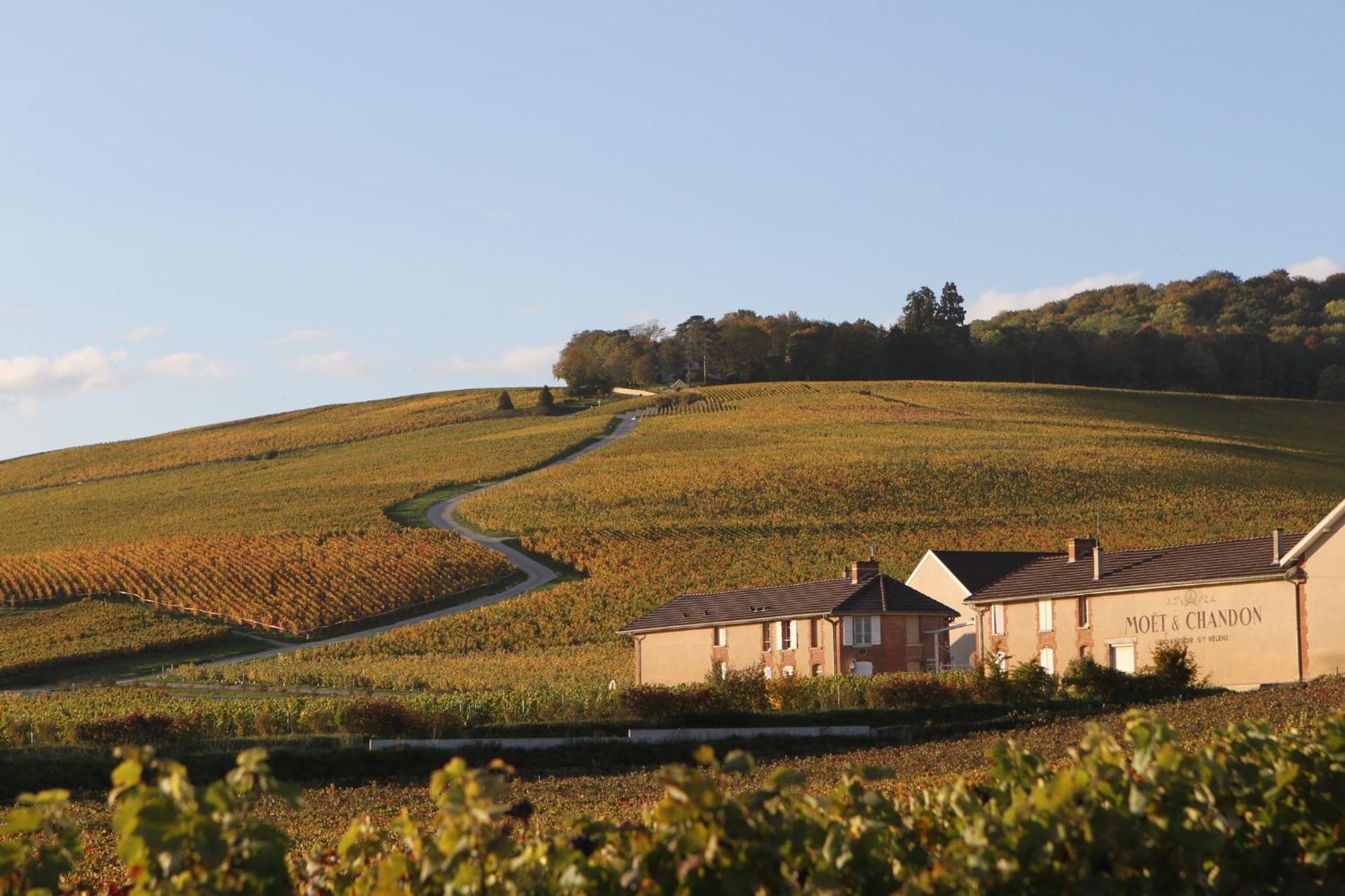 Maison Et Jardin A Epernay Centre Ville 外观 照片